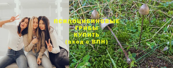 эйфоретик Беломорск