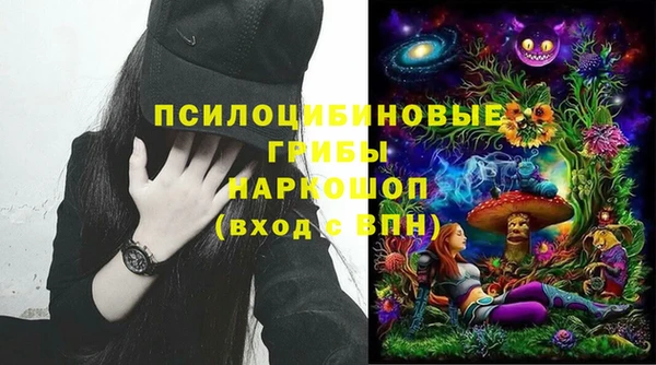 молекула духа Белоозёрский
