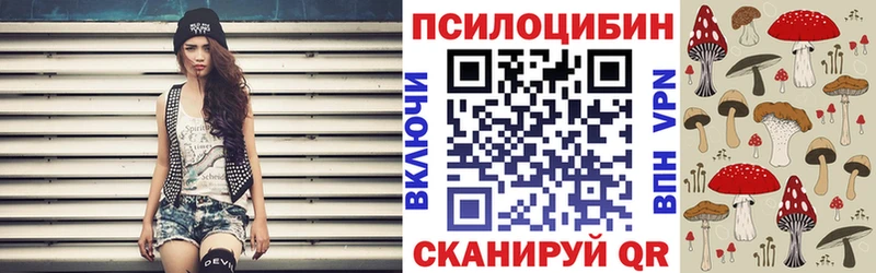 Псилоцибиновые грибы GOLDEN TEACHER  Верхний Уфалей 